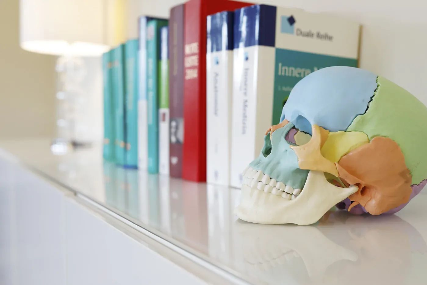 Fachbücher und anatomisches Schädelmodell in der Praxis für Osteopathie Tobias Knop in Gütersloh